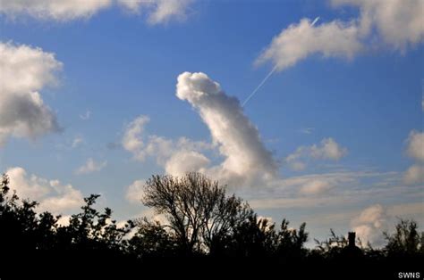 on cloud dicks